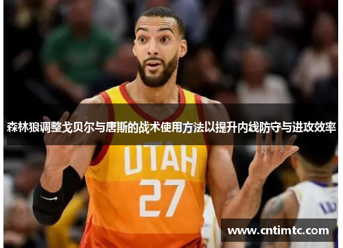 森林狼调整戈贝尔与唐斯的战术使用方法以提升内线防守与进攻效率