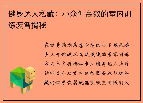 健身达人私藏：小众但高效的室内训练装备揭秘
