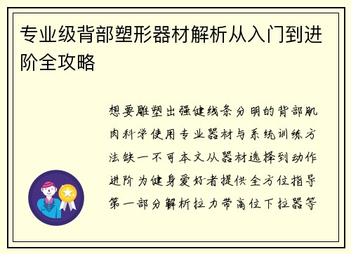 专业级背部塑形器材解析从入门到进阶全攻略